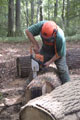 Click to see it big Ich mit Kettensäge, Impression aus dem Wald